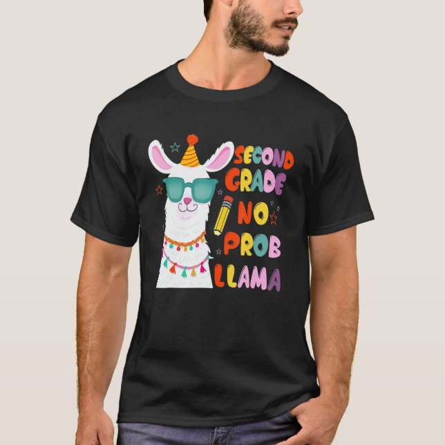 Camiseta Professor do 2º ano do segundo do time Sem Prob La (Frente)
