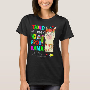 Camiseta Professora Do Prob Llama De Terceiro Grau Volta Pa