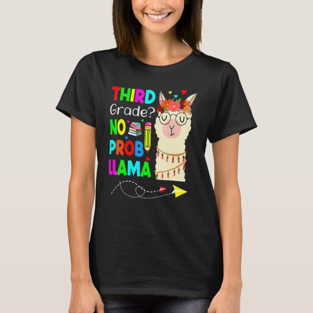 Camiseta Professora Do Prob Llama De Terceiro Grau Volta Pa (Frente)