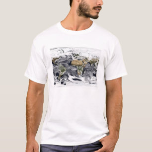 Camiseta Projeção equidistante cilíndrica