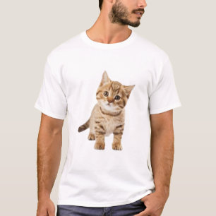 Camiseta Projetando uma Área de Brincadeira para Gatos