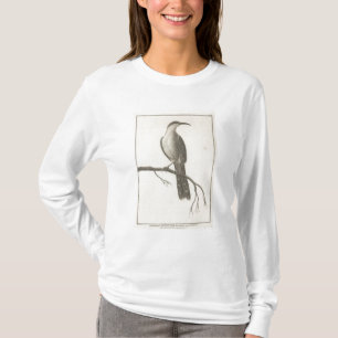 Camiseta Promerops ou comedor de abelha de Califórnia