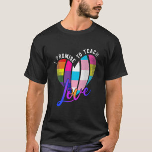 Camiseta Prometo Ensinar A Igualdade Da Diversidade E A Ig