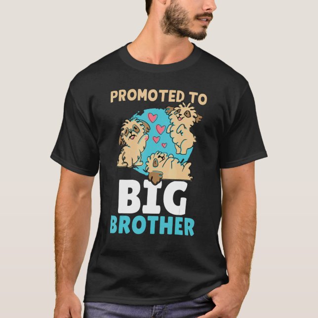 Camiseta Promoted To Big Brother (Frente)