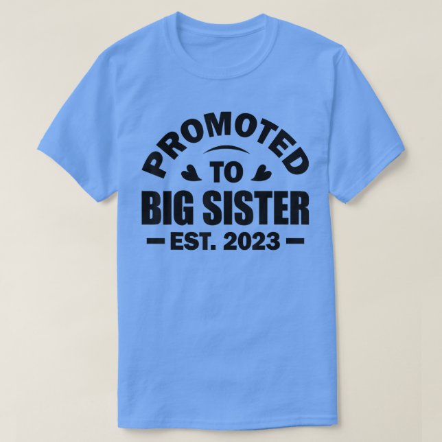 Camiseta Promovido À Irmã Grande Est 2023 O Gênero Revela R (Frente do Design)