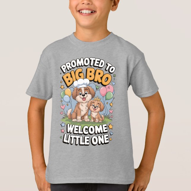 Camiseta Promovido ao Big Bro, Big Brother T-Shirt (Frente)