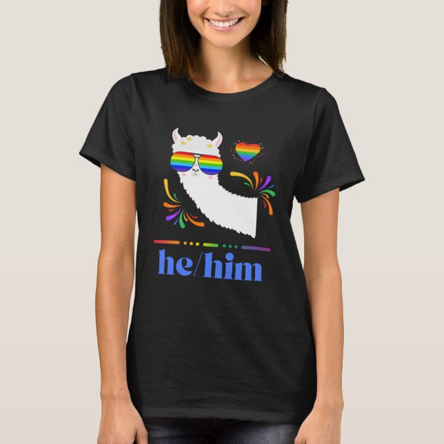 Camiseta Pronouns He Him Gay Pride Rainbow Groovy Lllama Re (Frente)