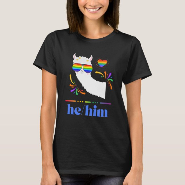 Camiseta Pronuncia Ele Orgulho gay Arco-Íris Groovy Lllama  (Frente)