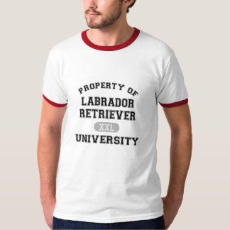 Camiseta Propriedade da universidade de labrador retriever