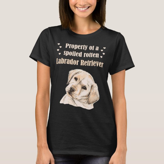 Camiseta Propriedade De Um Varejista De Labrador Rotten Irr (Frente)