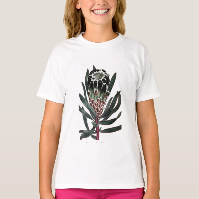 Camiseta Protea Lepidocarpon (Frente)