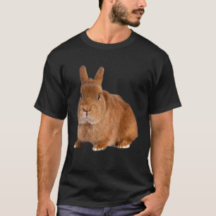 Camiseta Proteção dos animais de companhia