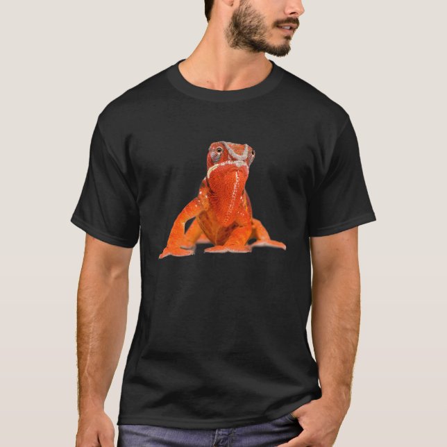 Camiseta Proteção dos animais de companhia (Frente)