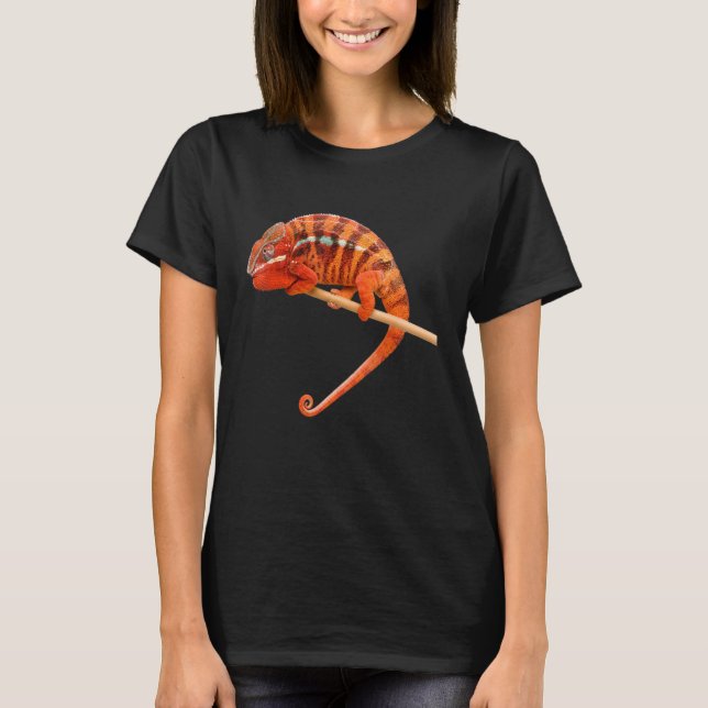 Camiseta Proteção dos animais de companhia (Frente)
