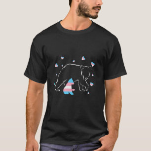 Camiseta Proteja as Crianças Trans, Proteja a Mãe