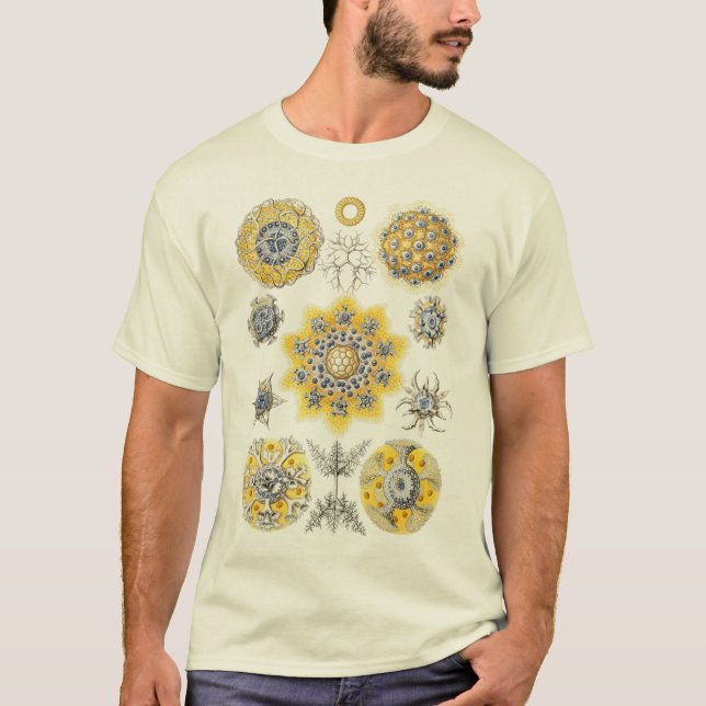 Camiseta Protozoários (Frente)