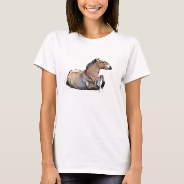 Camiseta Przewalski assentado 2011 (Frente)