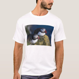 Camiseta Puffin Atlântico (Fratercula arctica) 7