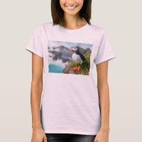 Puffin Fratercula Arctica