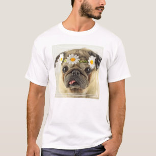 Camiseta Pug com Daisy Crown
