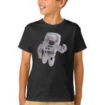Pug no espaço