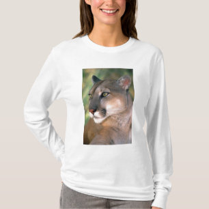 Camiseta Puma, Califórnia