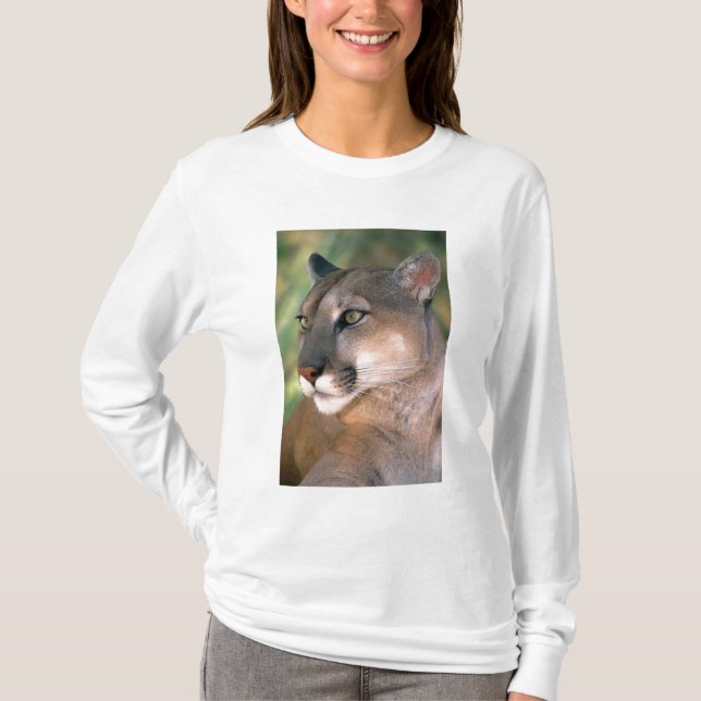 Camiseta Puma, Califórnia (Frente)