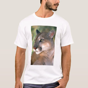 Camiseta Puma, Califórnia