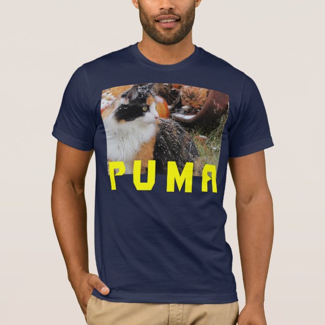 Camiseta PUMA com neve (Frente)