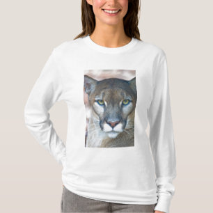 Camiseta Puma, leão-da-montanha, pantera-da-flórida, Puma