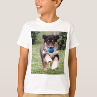 Camiseta Pup de Shepherd Australiano de três cores