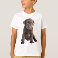 Puppia de chocolate