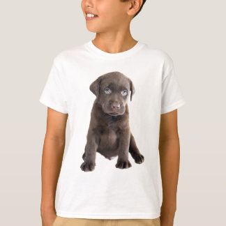 Camiseta Puppia de chocolate