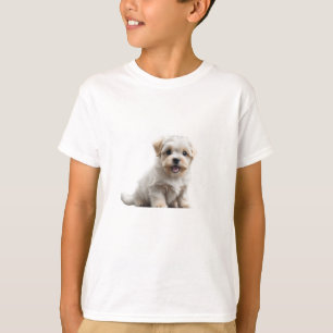 Camiseta Puppy maltês