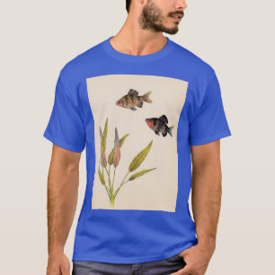 Camiseta Purplehead Barb Pethia nigrofasciata