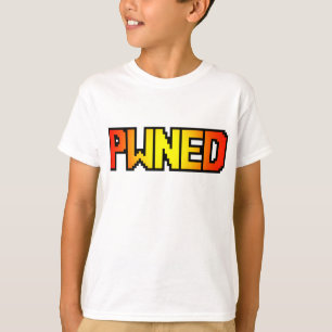 CAMISETA PWNED
