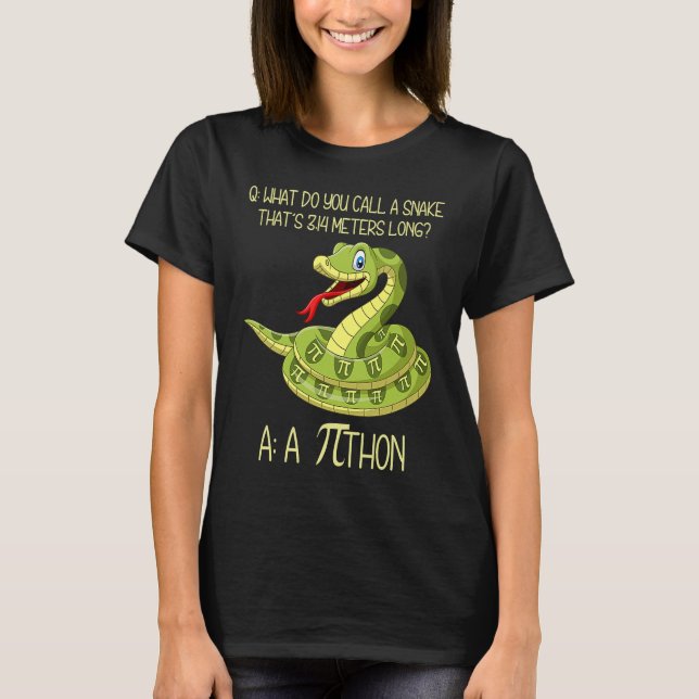 Camiseta Python Cobra Pithon Pi Símbolo Math Professor Nerd (Frente)