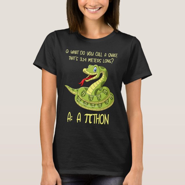 Camiseta Python Cobra Pithon Pi Símbolo Math Professor Nerd (Frente)