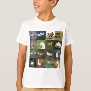 Camiseta Quadrado dos retalhos da foto - pássaros