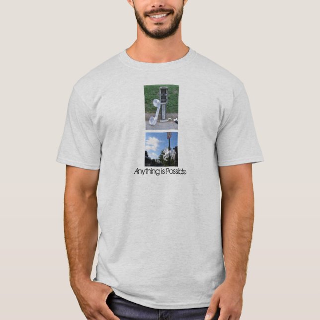 Camiseta Qualquer coisa é possível (Frente)