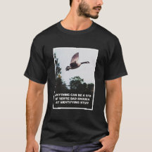 Qualquer coisa pode ser um UFO