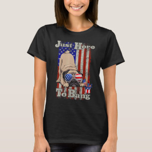 Camiseta Quarto de 4 de julho, estou aqui para pegar 1
