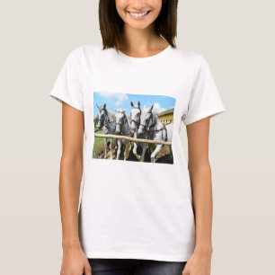 Camiseta Quatro belos animais cavalos