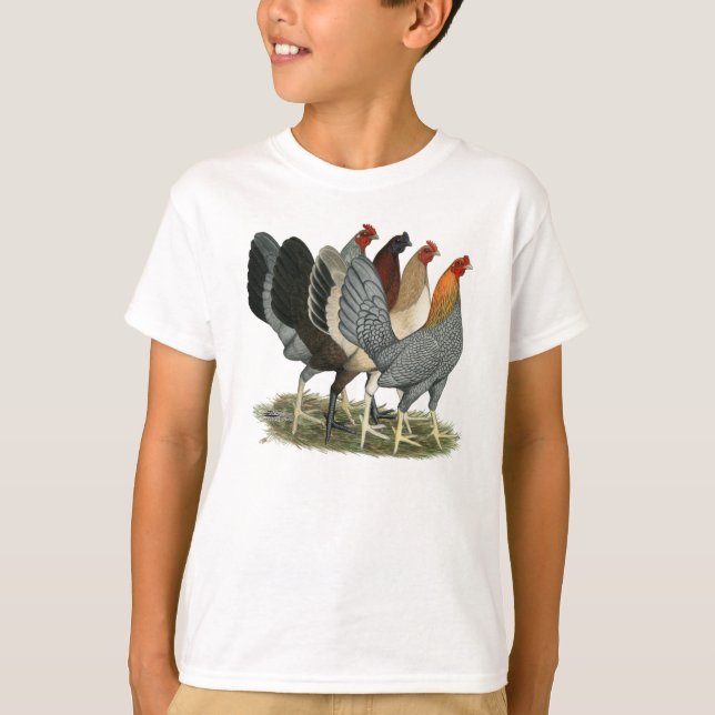 Camiseta Quatro Galinhas de Galo de Briga (Frente)