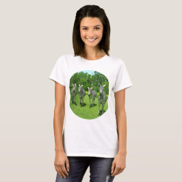 Camiseta Quatro Zebras na Unidade do Prado