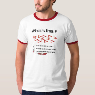 Camiseta Que é este?