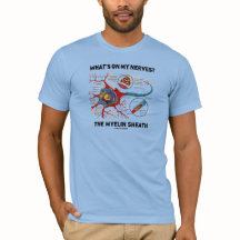 Que está em meus nervos? A bainha de Myelin