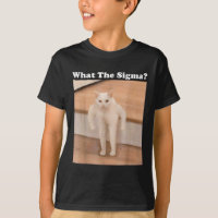 Que Meme Sigma Meme da Internet Memes Engraçado Me