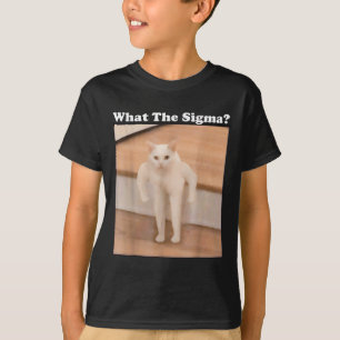 Camiseta Que Meme Sigma Meme da Internet Memes Engraçado Me
