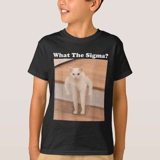 Camiseta Que Meme Sigma Meme da Internet Memes Engraçado Me (Frente)